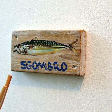 بورتو ريكاناتي La Sciabbega B&B المظهر الخارجي الصورة